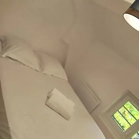 Petit Nid Dacquois *