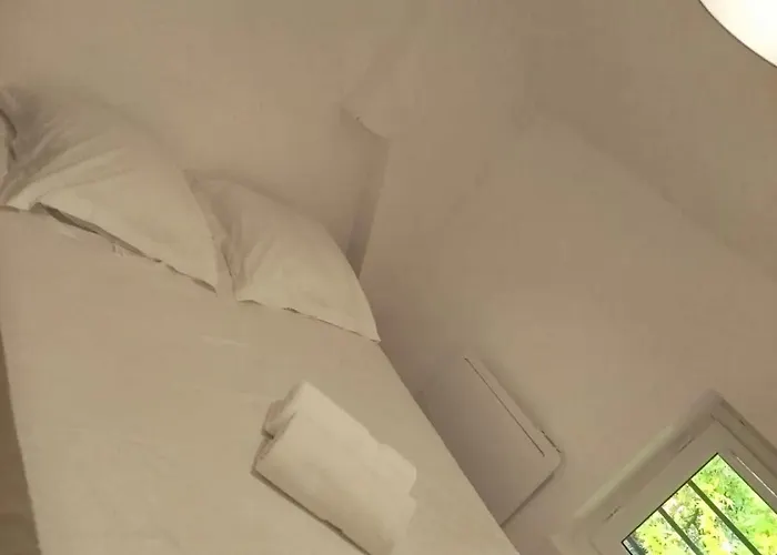 Petit Nid Dacquois *